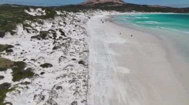 Beyaz kumsalda giden arabalar. Wharton Beach Esperance Avustralya 'da 4x4 sürüş. Beyaz kum turkuaz denizinde dört tekerli motorun hava aracı görüntüleri. 4K