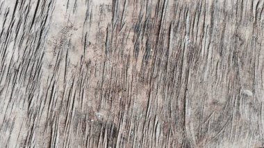 Tasarımınız için doğal desenli ahşap doku