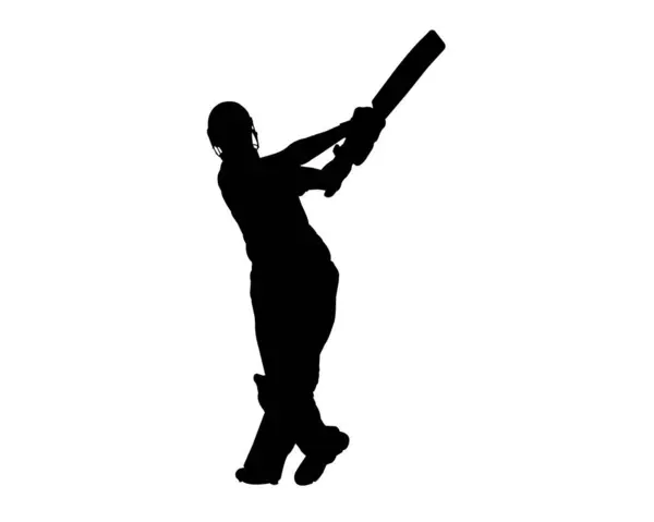 stock image cricket black vector and illustration using background imge