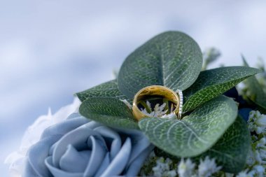 Gaddy wedding rings nestled in a blue rose and green leaves. clipart