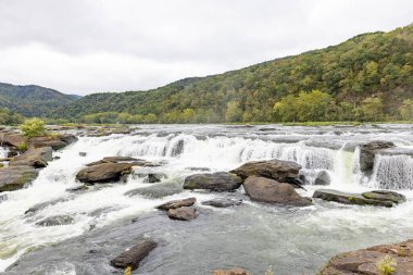 Rushing Nehri Şelalelerinin Dinamik Yakın Çekimi