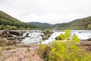 Cascading Falls ile Geniş Nehir Manzarası
