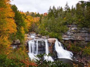 Blackwater Falls adorned in nature's finest autumn attire. clipart