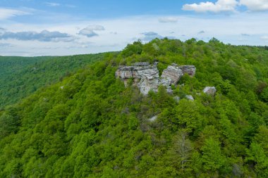 Davis, Batı Virginia 'da yer alan Lindy Point, Blackwater Kanyonu' na bakan nefes kesici bir bakış açısı sunuyor.