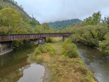 Her şeyden önce, ağaçların dağ bulutlarına dokunduğu yer..