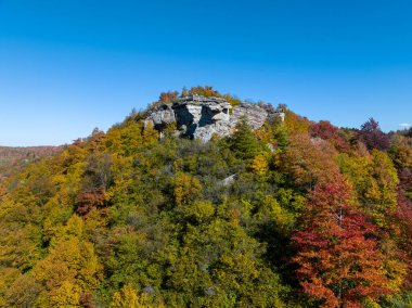 Located in Davis, West Virginia, Lindy Point offers a breathtaking viewpoint overlooking Blackwater Canyon clipart