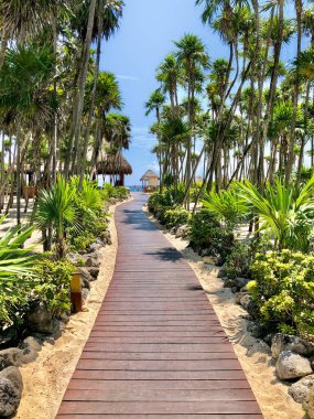 Tahta kalaslardan oluşan bir yol bizi tatilimizin sınırına ve yolculuğumuzun başlangıcına götürüyor..