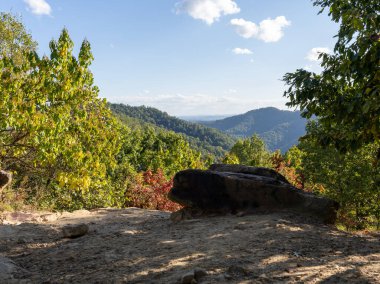 Altın yapraklar ve yuvarlanan tepeler: Appalachian Highlands 'da bir sonbahar öğleden sonrası.