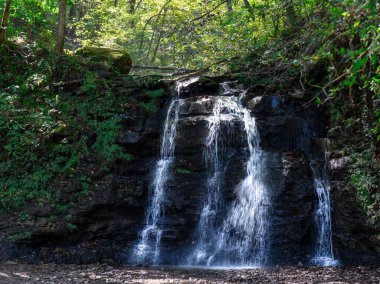 Doğanın zarif şelalesi canlı bir orman tarafından çerçevelenmiş..
