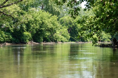 Görüntü, görüntünün çoğunluğunu kaplayan ve sükunet hissi yaratan bir nehrin nefes kesici manzarasını sunuyor. Nehir sık ağaç ve yeşillik katmanları ile çevrilidir ve nehir yüzeyine düşen yapraklar gölgeler oluşturur. Ben...