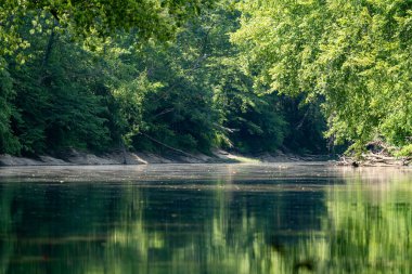 Görüntü, görüntünün çoğunluğunu kaplayan ve sükunet hissi yaratan bir nehrin nefes kesici manzarasını sunuyor. Nehir sık ağaç ve yeşillik katmanları ile çevrilidir ve nehir yüzeyine düşen yapraklar gölgeler oluşturur. Ben...