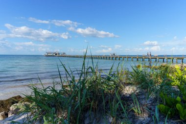Uzun ahşap iskele kıyıdan körfeze doğru uzanıyor. Anna Maria Adası, Florida sahilindeki uzun otların arkasına.