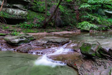 South Sharleston, WV 'deki Little Creek Park' a sabah yürüyüşü.