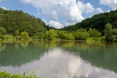 Bereketli yeşil ağaçlarla çevrili sakin bir göl, sakin gökyüzünü yansıtır, doğada huzurlu ve sakin bir manzara yaratır. Açık hava rahatlığı ve doğa takdiri için mükemmel..