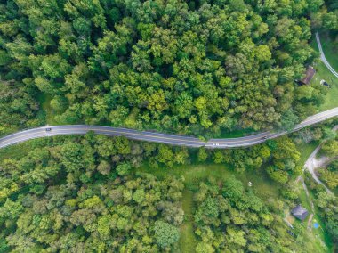 Batı Virginia 'daki yoğun, yeşil bir ormanı kesen dolambaçlı bir yolun hava görüntüsü altyapı ve doğa arasındaki barışçıl etkileşimi yakalıyor. Bu manzaralı sürüş, kırsala doğru sakin bir kaçış sağlıyor..