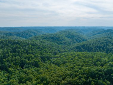 Bereketli, yeşil Appalachian Dağları 'nın geniş bir hava manzarası. Yoğun ormanı ve yuvarlanan tepeleri sergiliyor.. 