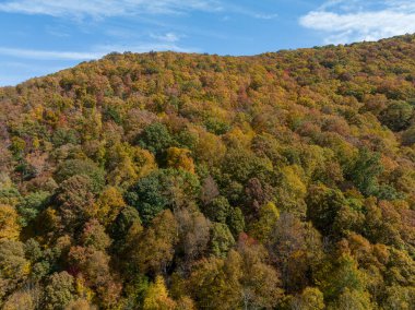 Appalachian Dağları 'nın havadan görünüşü, Batı Virginia' nın dalgalı tepeleri boyunca uzanan canlı sonbahar renkleri sergilenen güz yapraklarıyla çarpıcı bir duvar halısı sergiliyor. Doğal manzara, berrak bir gökyüzü tarafından aydınlatılır. 