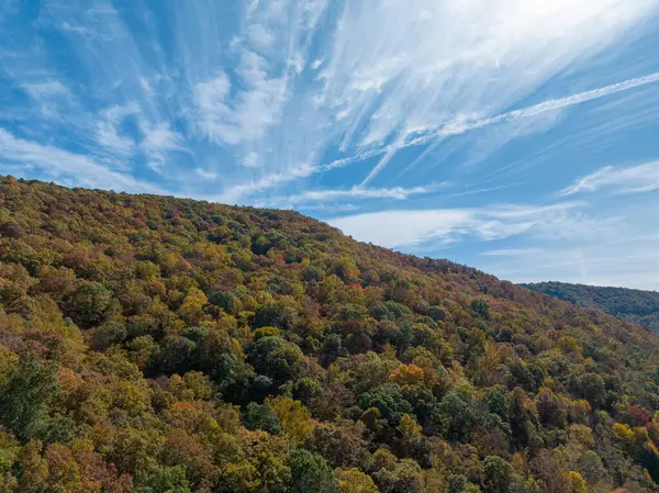 Appalachian Dağları 'nın havadan görünüşü, Batı Virginia' nın dalgalı tepeleri boyunca uzanan canlı sonbahar renkleri sergilenen güz yapraklarıyla çarpıcı bir duvar halısı sergiliyor. Doğal manzara, berrak bir gökyüzü tarafından aydınlatılır. 