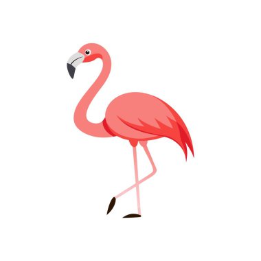 Kuş severler için flamingo rengi çizimi 