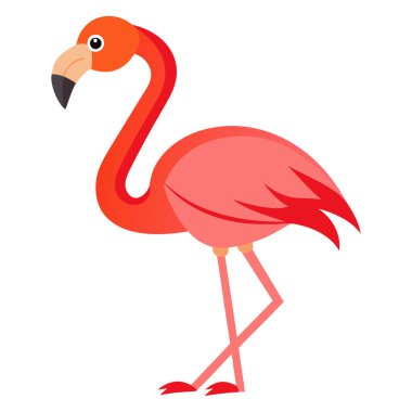 Kuş severler için flamingo rengi çizimi 