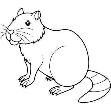 Beyaz arkaplanda kunduz renklendirme sayfası satırı