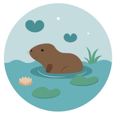 Kunduz tasarımı dosyası