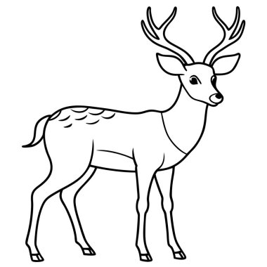 beyaz arkaplanda geyik boyama sayfası satırı