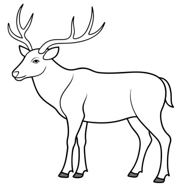 Beyaz arkaplanda geyik boyama sayfası siyah çizgi