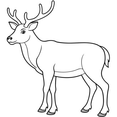  Beyaz arkaplanda karibu renklendirme sayfası