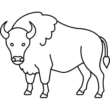 bizon renklendirme sayfası beyaz arkaplan