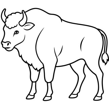 bizon renklendirme sayfası beyaz arkaplan