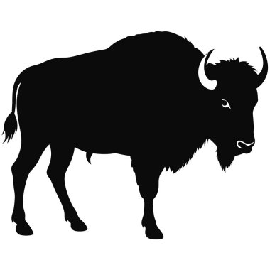 bizon siluet vektörü beyaz arkaplanda