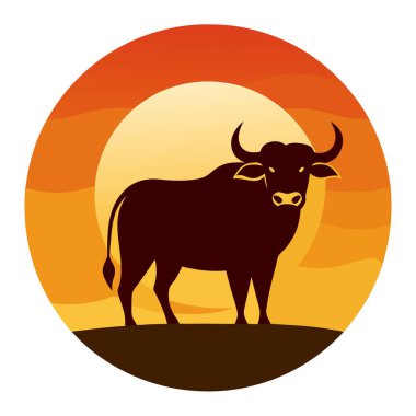 Bizon grafik illüstrasyon tasarımı