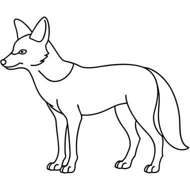 Beyaz arkaplanda Çakal renklendirme sayfası