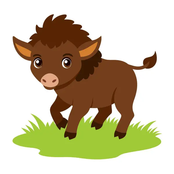 Bizon grafik illüstrasyon tasarımı