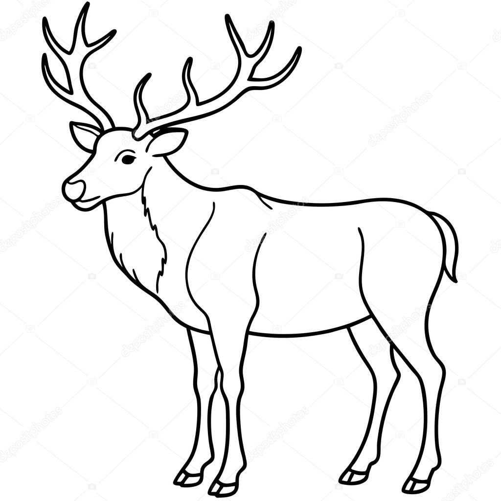 Elk coloring page black line on white background