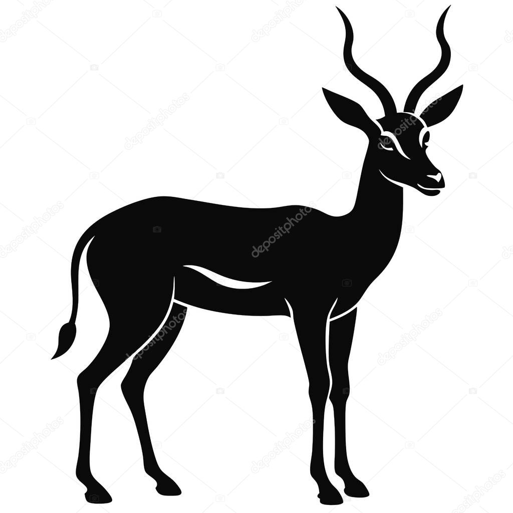 Gazelle silhouette vector  on white background