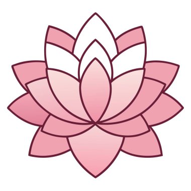 Çiçekler ve botanik illüstrasyon dosyası vektörü