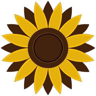 Çiçekler ve botanik illüstrasyon dosyası vektörü