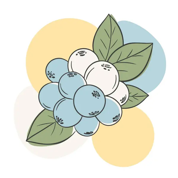 Çiçekler ve botanik illüstrasyon dosyası vektörü