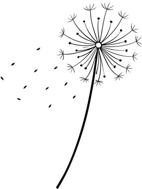 Beyaz arka planda çiçek ve botanik boyama sayfası