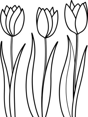 Beyaz arka planda çiçek ve botanik boyama sayfası