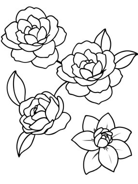 Beyaz arka planda çiçek ve botanik boyama sayfası