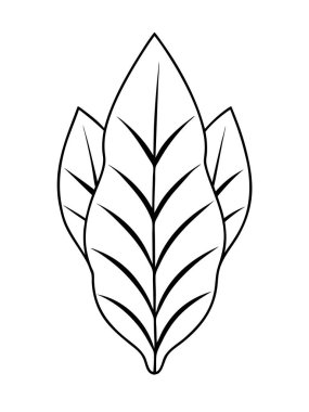 Beyaz arka planda çiçek ve botanik boyama sayfası