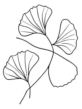 Beyaz arka planda çiçek ve botanik boyama sayfası