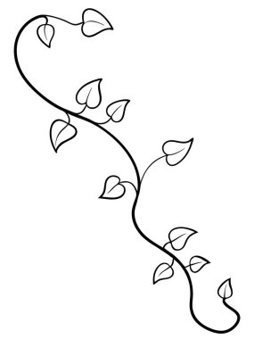 Beyaz arka planda çiçek ve botanik boyama sayfası