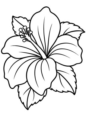 Beyaz arka planda çiçek ve botanik boyama sayfası