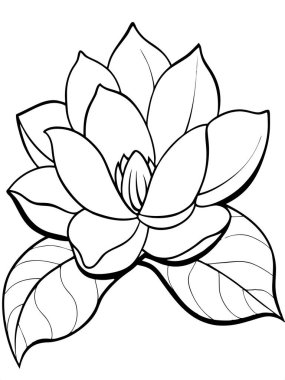 Beyaz arka planda çiçek ve botanik boyama sayfası