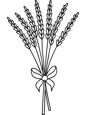 Beyaz arka planda çiçek ve botanik boyama sayfası