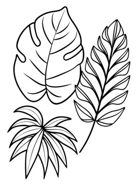 Beyaz arka planda çiçek ve botanik boyama sayfası